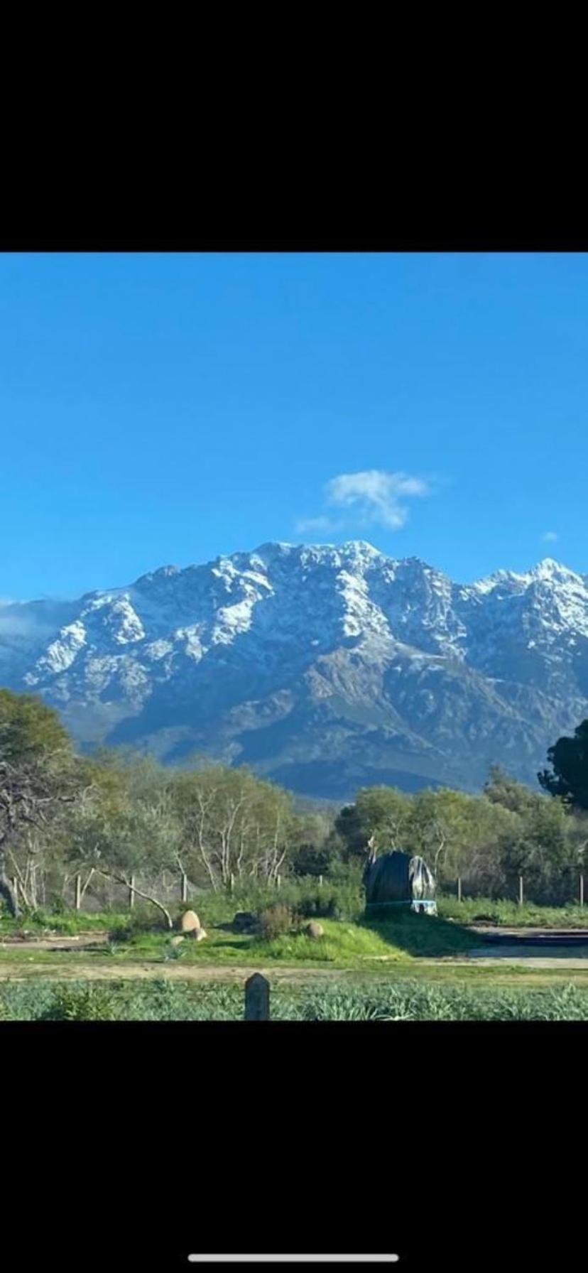 Coeur De Calvi Διαμέρισμα Καλβί Εξωτερικό φωτογραφία